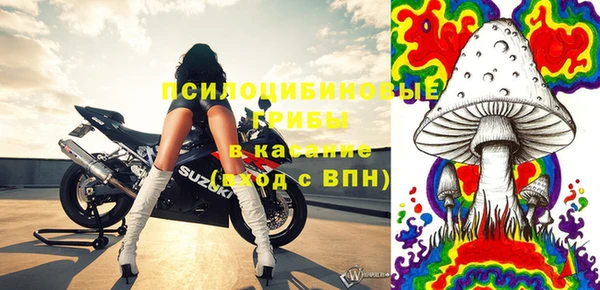 амф Сатка