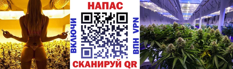 Бошки Шишки семена  Спас-Деменск 